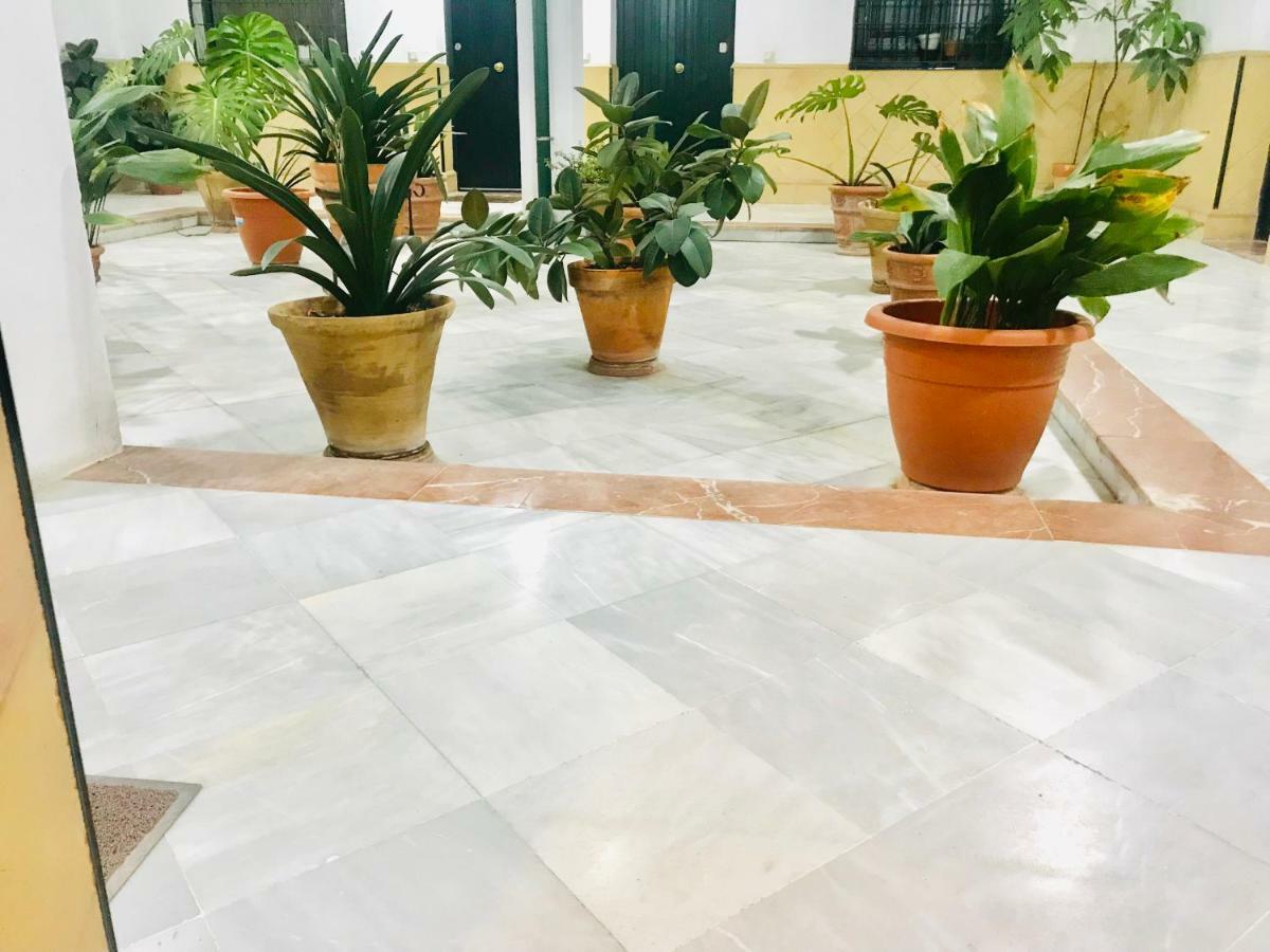 סביליה Los Patios De La Juderia מראה חיצוני תמונה